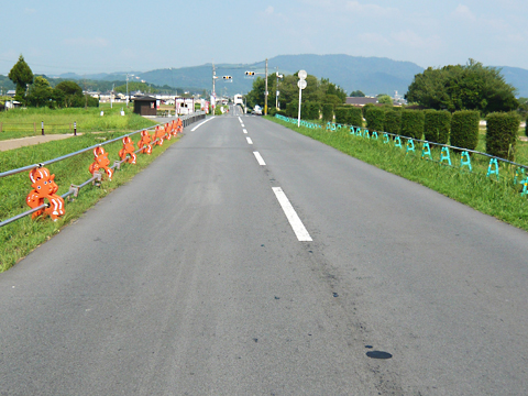谷田奈良線 地域活力基盤創造交付金事業