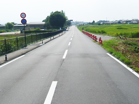 谷田奈良線 地域活力基盤創造交付金事業